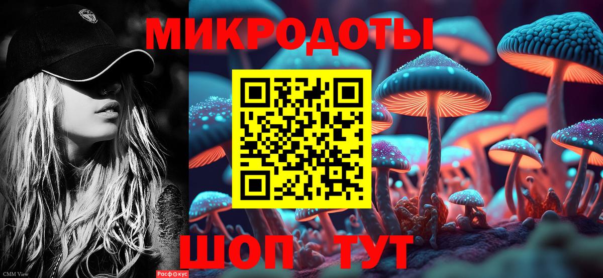 Псилоцибиновые грибы GOLDEN TEACHER  Вход с VPN  Ишим 